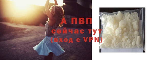 a pvp Бородино