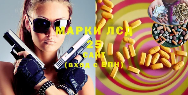 a pvp Бородино
