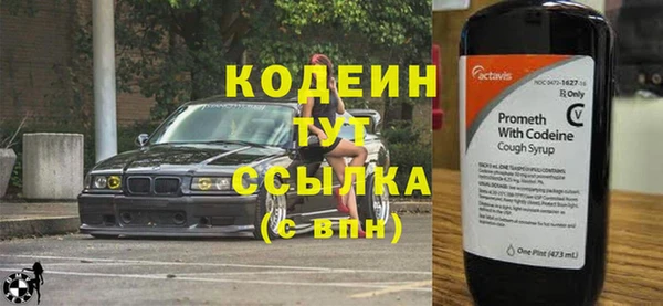 a pvp Бородино