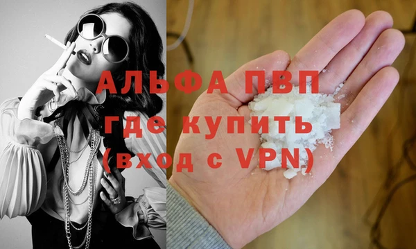 a pvp Бородино