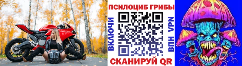 Галлюциногенные грибы мицелий  Венёв 